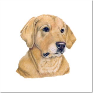 Labrador retriever - Yellow P Posters and Art